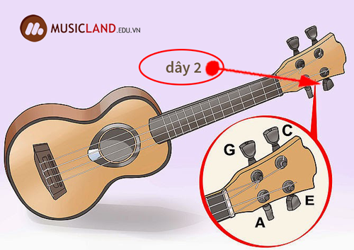 chinh day 2 dan ukulele