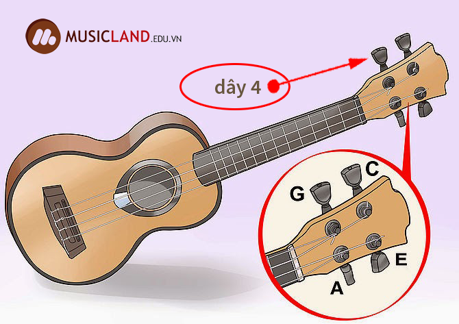 len day dan ukulele musicland